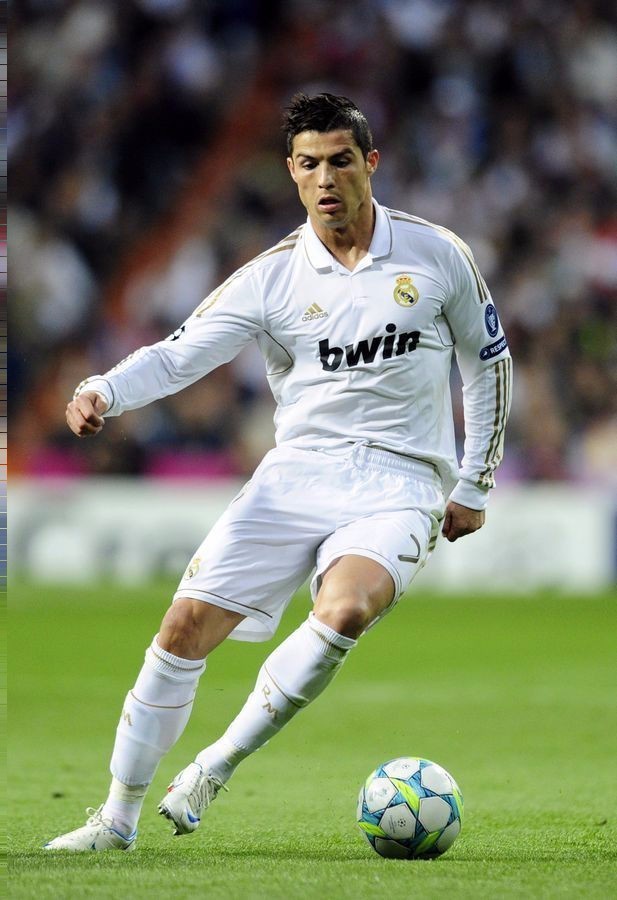 鹿队的忠实 鹿队的忠实