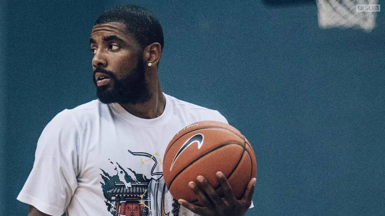 领域的重要 领域的重要