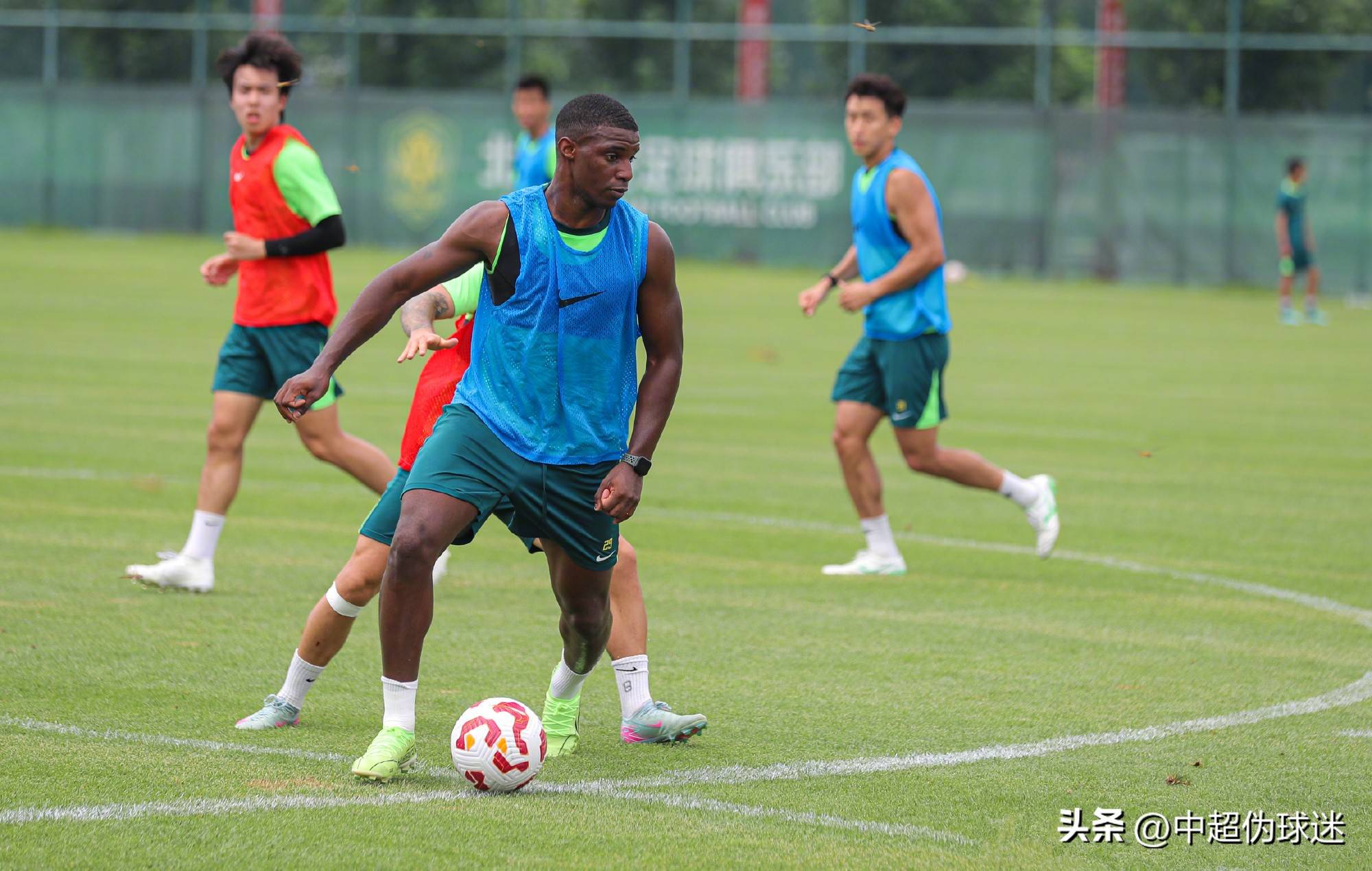 在国内锦标 在国内锦标