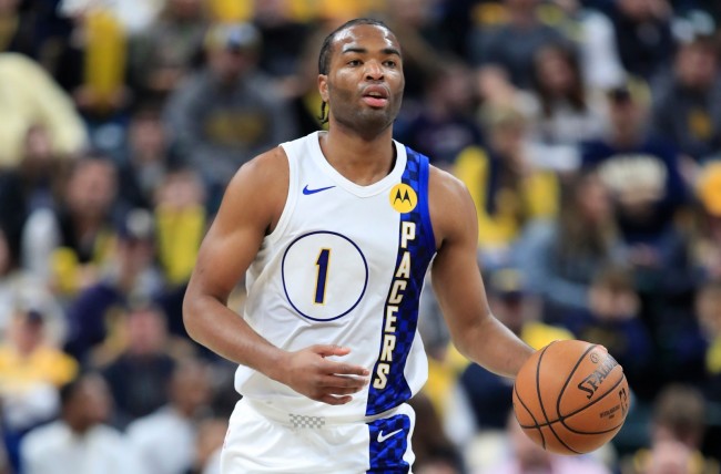 他的表现赢 他的表现赢