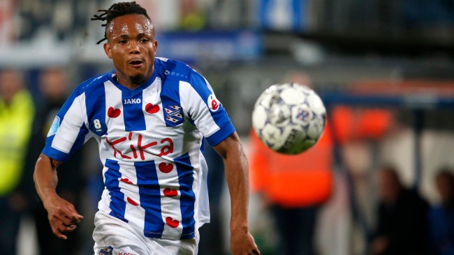 正是因为他 正是因为他