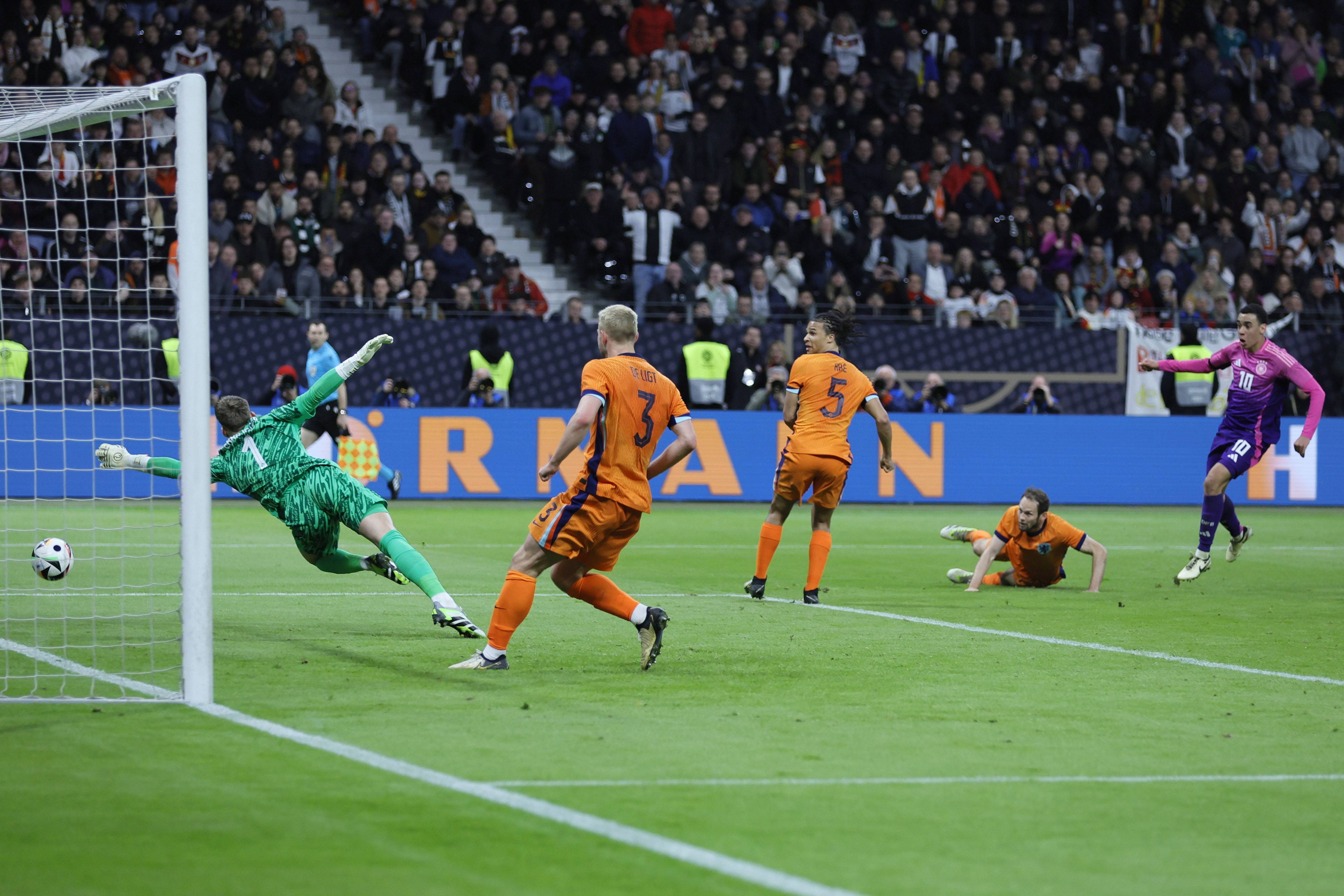 稳定性与坚 稳定性与坚