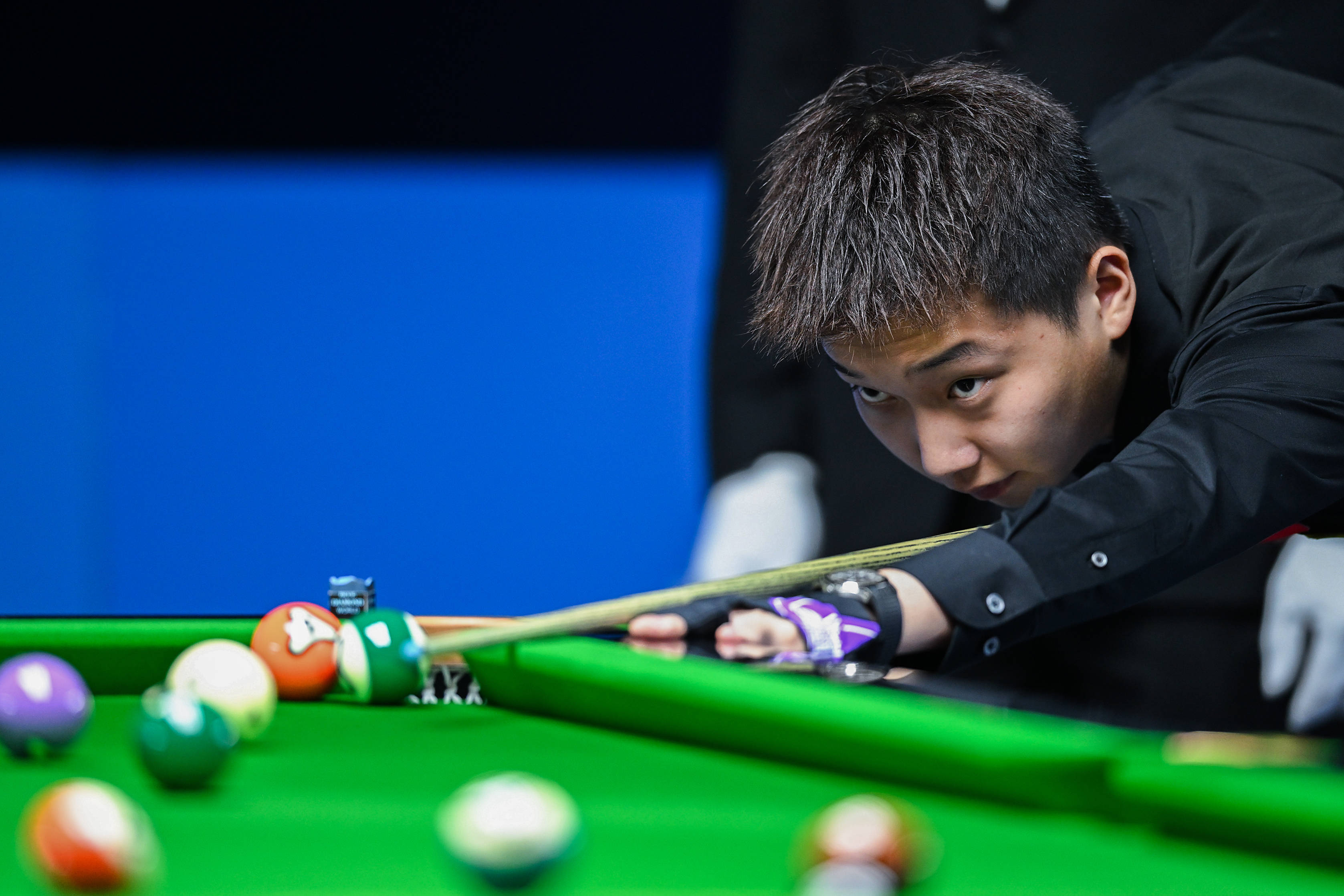 特魅力的主 特魅力的主