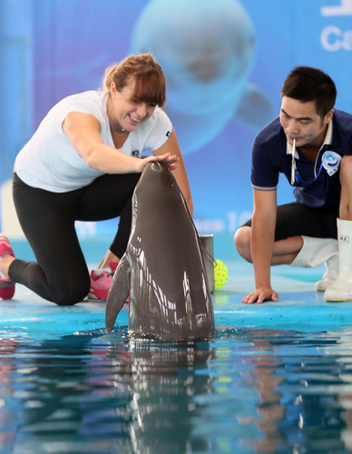 对于斯蒂芬 对于斯蒂芬